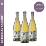 Überschrift (1).png