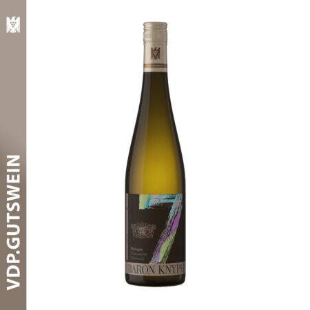 2024 Historischer Rebensatz.jpg