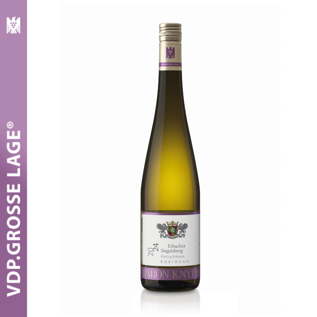 Design ohne Titel (9).png